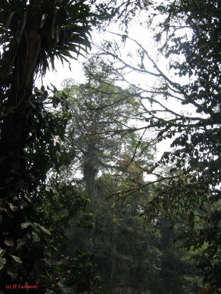 25_3 Misol Ha et Agua Azul  040.jpg