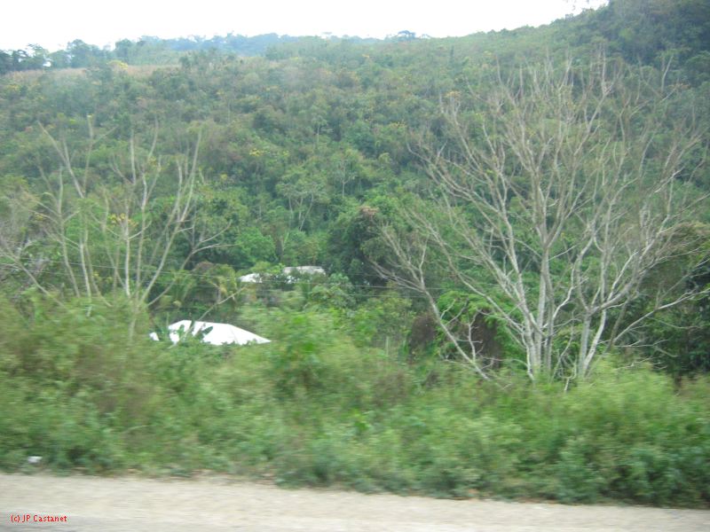 25_3 Misol Ha et Agua Azul  048.jpg
