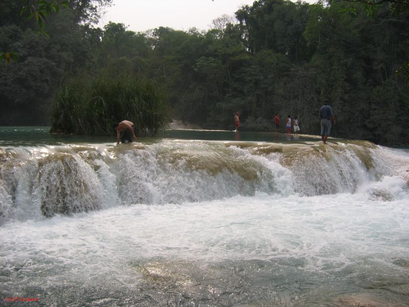 25_3 Misol Ha et Agua Azul  080.jpg