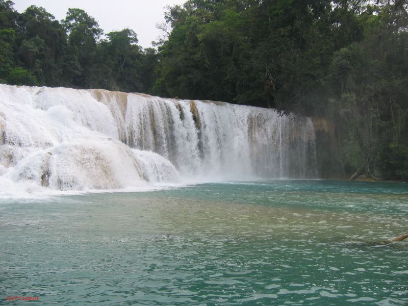 25_3 Misol Ha et Agua Azul  094.jpg