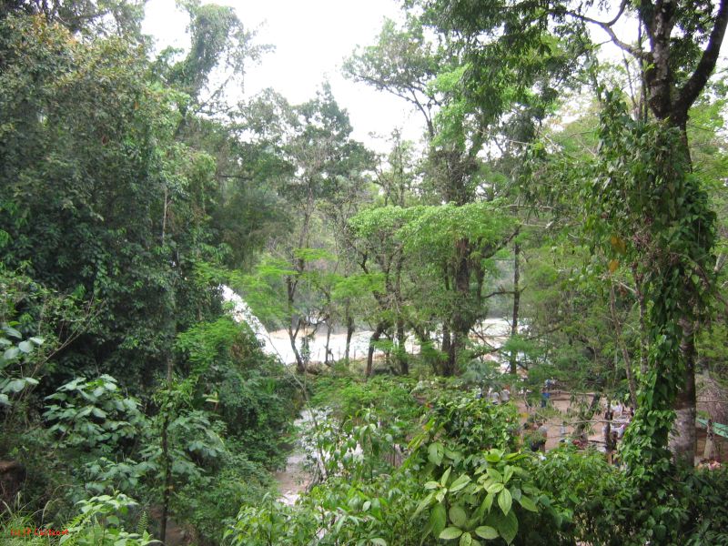 25_3 Misol Ha et Agua Azul  124.jpg