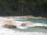 25_3 Misol Ha et Agua Azul  081.jpg