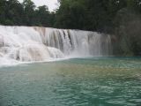 25_3 Misol Ha et Agua Azul  087.jpg