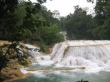 25_3 Misol Ha et Agua Azul  114.jpg