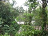 25_3 Misol Ha et Agua Azul  124.jpg