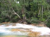 25_3 Misol Ha et Agua Azul  135.jpg