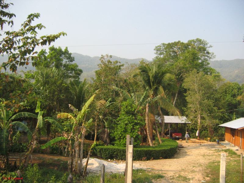 24_3 Bonampak  021.jpg