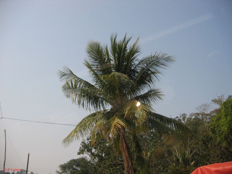 24_3 Bonampak  029.jpg