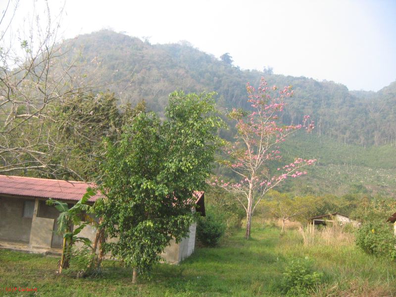 24_3 Bonampak  016.jpg