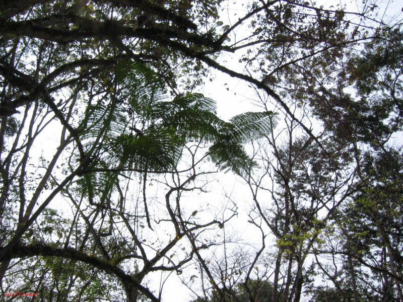 24_3 Bonampak  108.jpg