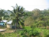 24_3 Bonampak  025.jpg