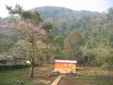 24_3 Bonampak  013.jpg
