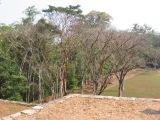 24_3 Bonampak  067.jpg