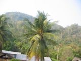 24_3 Bonampak  014.jpg