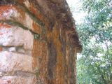 24_3 Bonampak  087.jpg