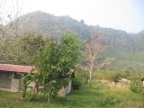 24_3 Bonampak  016.jpg