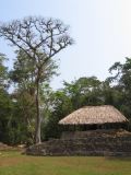 24_3 Bonampak  107.jpg