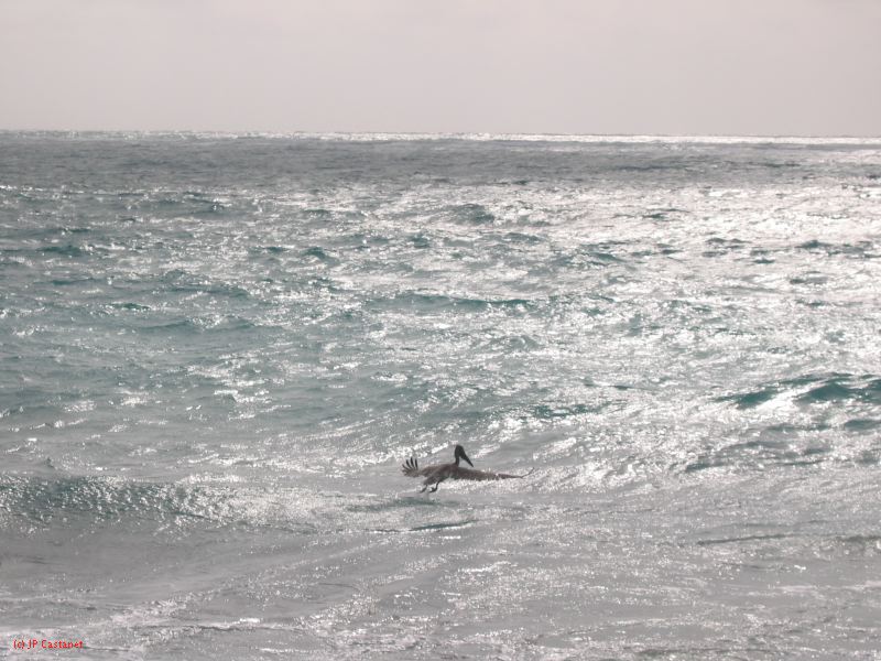 26_3 Tulum cabañas  015.jpg