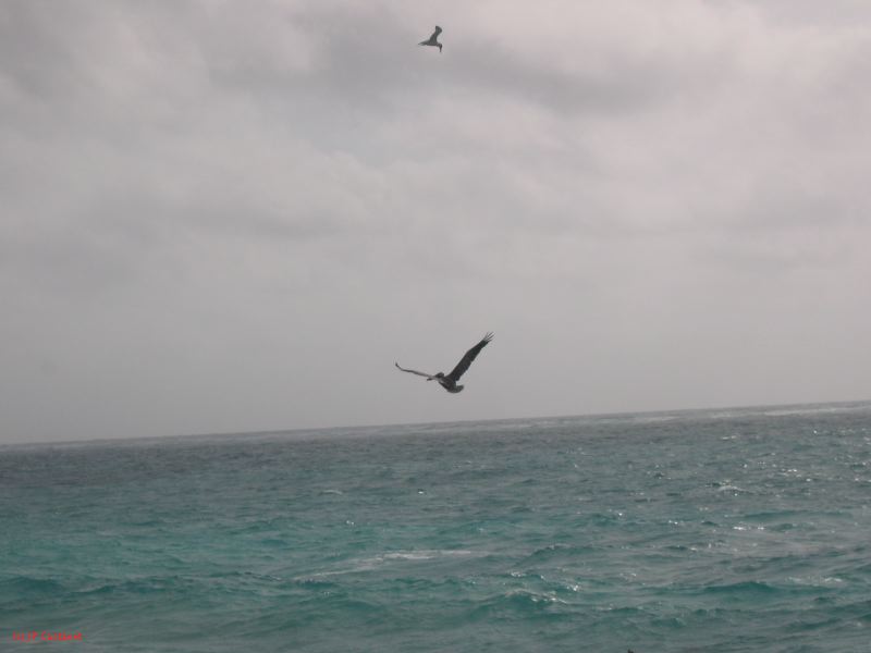 26_3 Tulum cabañas  016.jpg