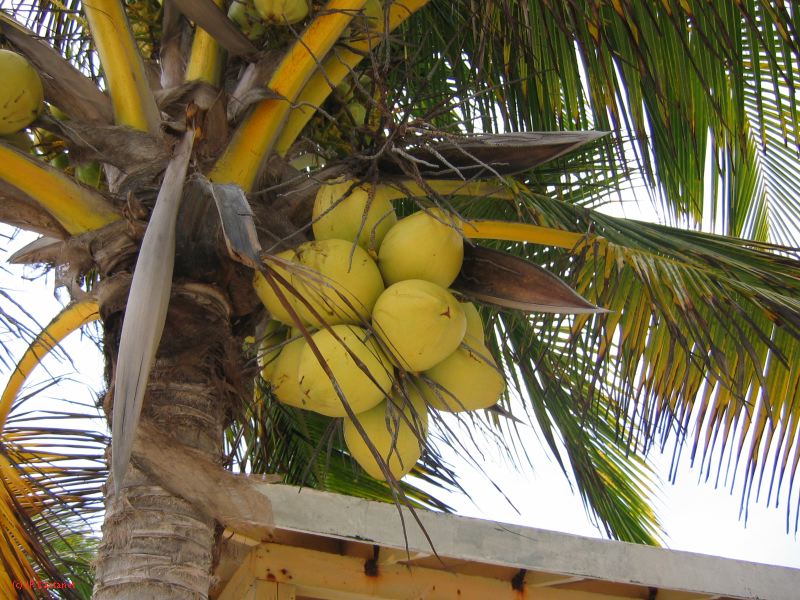 26_3 Tulum cabañas  035.jpg