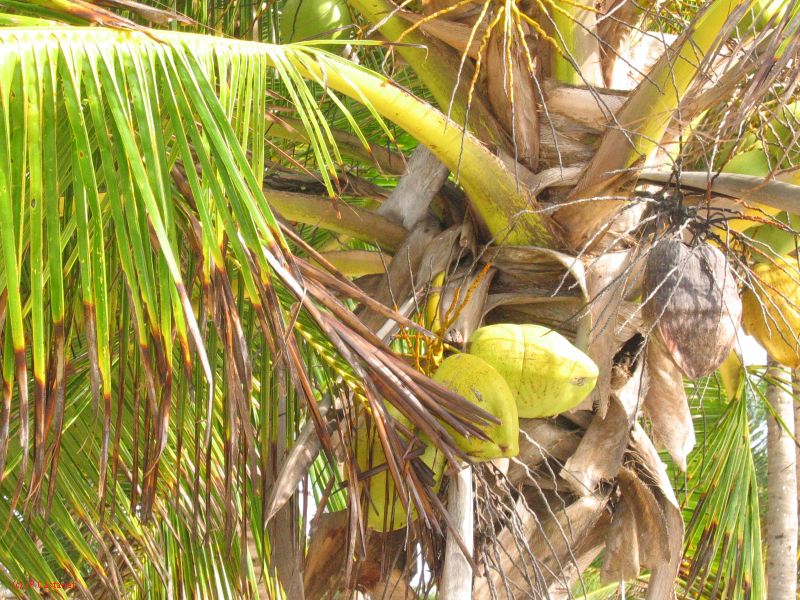26_3 Tulum cabañas  005.jpg