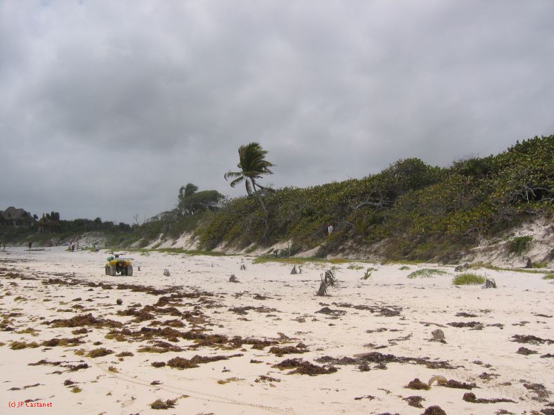 26_3 Tulum cabañas  051.jpg