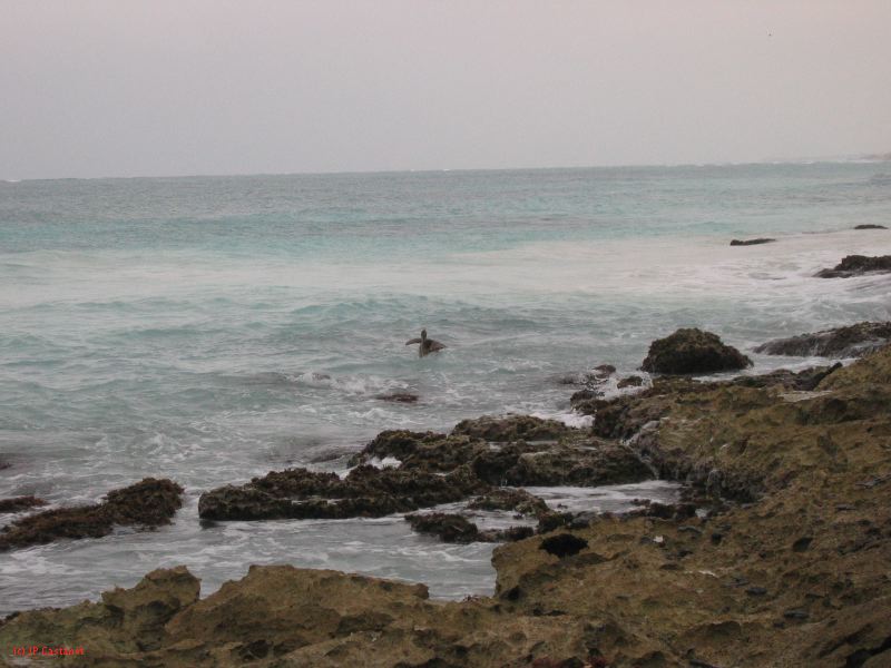 26_3 Tulum cabañas  226.jpg