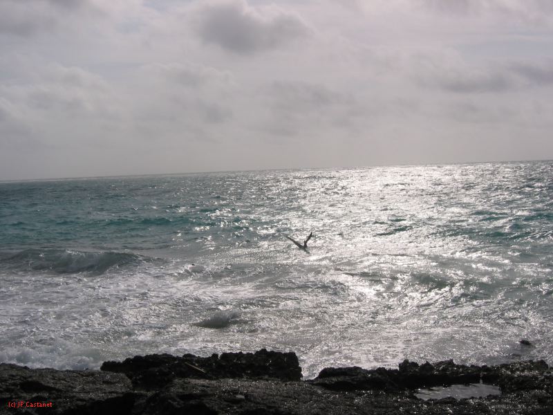 26_3 Tulum cabañas  013.jpg