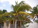 26_3 Tulum cabañas  037.jpg