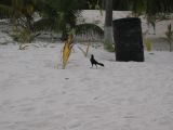 26_3 Tulum cabañas  207.jpg