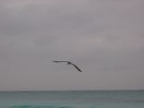 26_3 Tulum cabañas  224.jpg