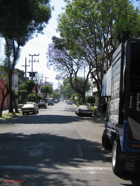 20_3  Coyoacan  005.jpg