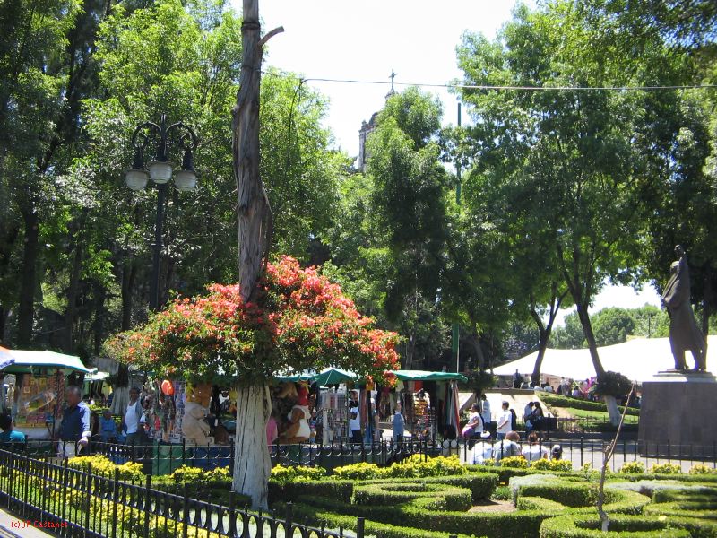 20_3  Coyoacan  043.jpg