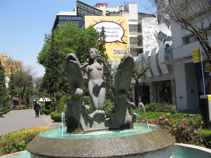 20_3  Coyoacan  007.jpg