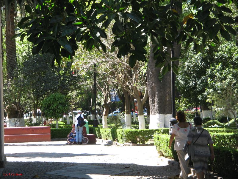 20_3  Coyoacan  067.jpg