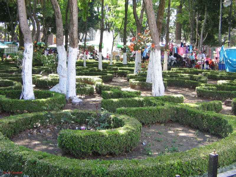 20_3  Coyoacan  011.jpg