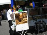 20_3  Coyoacan  013.jpg