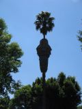 20_3  Coyoacan  023.jpg