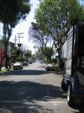 20_3  Coyoacan  005.jpg