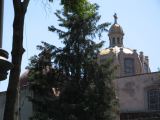20_3  Coyoacan  029.jpg