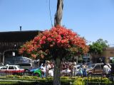 20_3  Coyoacan  033.jpg