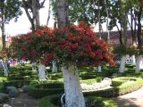 20_3  Coyoacan  041.jpg