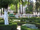 20_3  Coyoacan  044.jpg