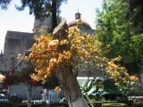 20_3  Coyoacan  045.jpg