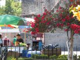 20_3  Coyoacan  047.jpg