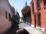 20_3  Coyoacan  076.jpg