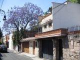 20_3  Coyoacan  083.jpg