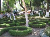 20_3  Coyoacan  012.jpg