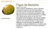 B-Figue Barbarie