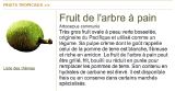 B-Fruit arbre �� pain,jpg